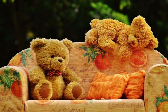 bear-792434